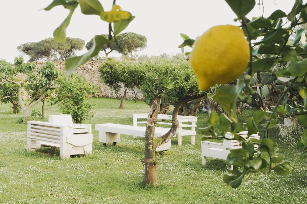 לצ'ה Masseria Paralupi מראה חיצוני תמונה